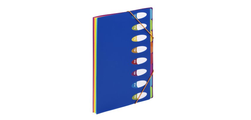 Trieur plastique à soufflet Business HAPPY FLUO Viquel  6 compartiments – Format A4