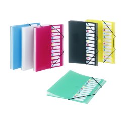 Trieur extensible 12 compartiments A4 Polypropylène - PROPYGLASS - Viquel - 25,5 x 32 cm