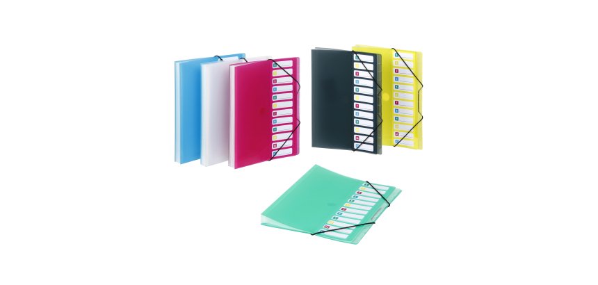 Trieur extensible 12 compartiments A4 Polypropylène - PROPYGLASS - Viquel - 25,5 x 32 cm