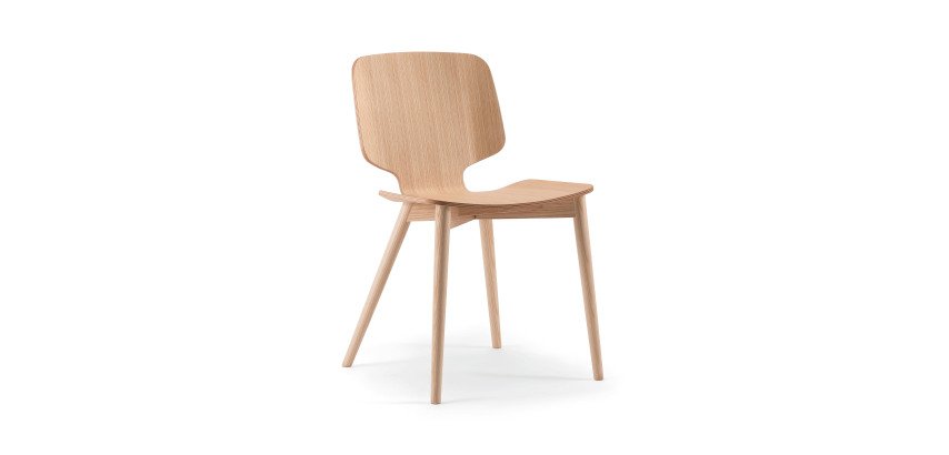 Chaise CODICI