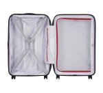 Maleta Delsey Segur 2.0 4 ruedas dobles 78 cm gris