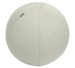 Balón de asiento antideslizante Leitz Ergo Active 55cm