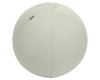 Balón de asiento antideslizante Leitz Ergo Active 55cm