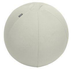 Balón de asiento antideslizante Leitz Ergo Active 55cm