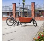 Arceau Antivol Vélo Cargo COLORIS CORTEN