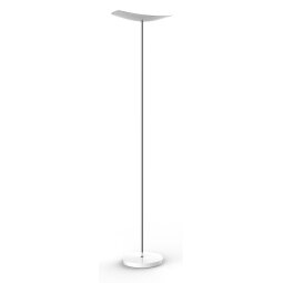 Lampadaire LED CUP avec variateur d'intensité