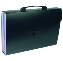 Trieur valisette polypropylène Viquel Rainbow Class - 24 onglets