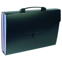 Trieur valisette polypropylène Viquel Rainbow Class - 24 onglets