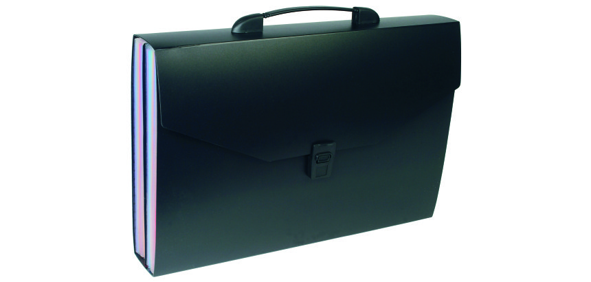 Trieur valisette polypropylène Viquel Rainbow Class - 24 onglets