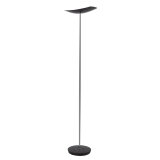 Lampadaire LED CUP avec variateur d'intensité