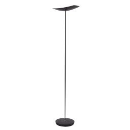 Lampadaire LED CUP avec variateur d'intensité