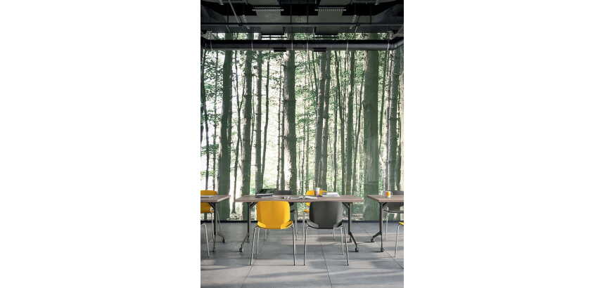 Table rabattable POLLY L.120 x P.70 cm Plateau Orme