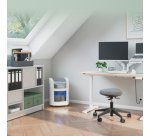 Destructora de papel de microcorte Leitz IQ OptiMax Autofeed Home Office 150 P5
