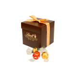 Caja surtida 40 bombones Lindor Perfect Gift  Lindt 500 g