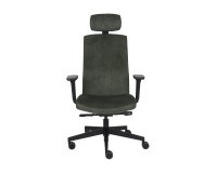 TEAM PRO B HD Black, SF2 Plus, R11