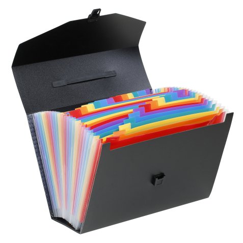 Clasificador de maleta extensible de polipropileno Viquel Rainbow Class de 24 pestañas