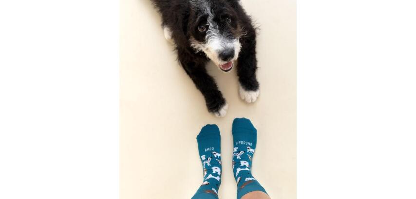 Calcetines "Amor Perruno" Azul talla 36-41
