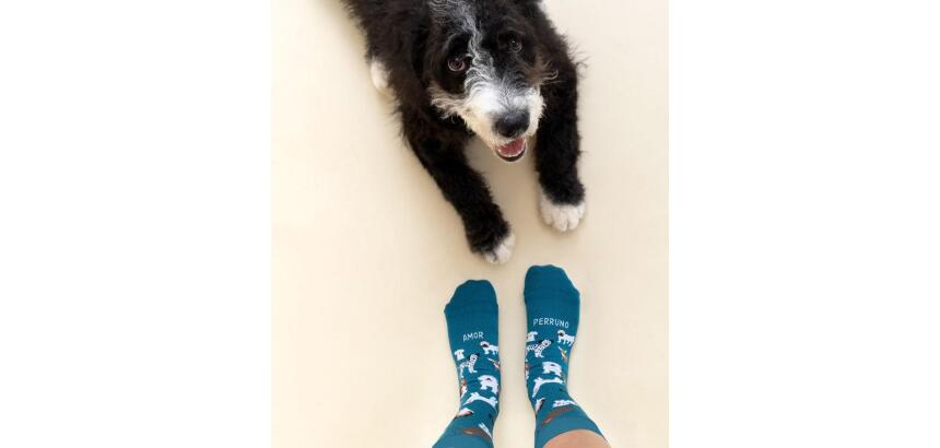Calcetines "Amor Perruno" Azul talla 36-41
