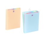 Trieur extensible 6 divisions – A4 vertical - Viquel Rainbow  pastel