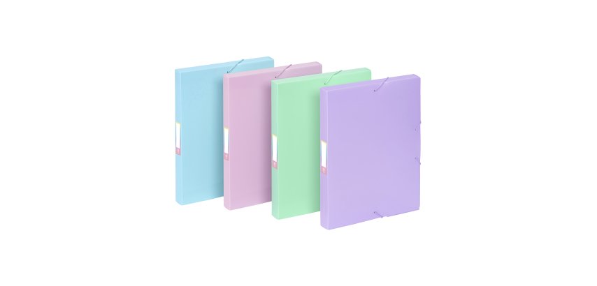Boîte de classement COOLBOX A4 - Dos 3 cm - polypropylène - RAINBOW PASTEL VIQUEL - Coloris assortis