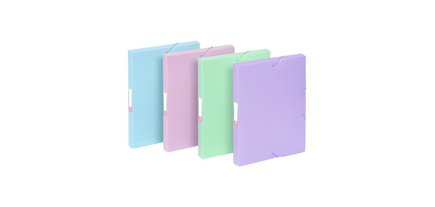 Boîte de classement COOLBOX A4 - Dos 3 cm - polypropylène - RAINBOW PASTEL VIQUEL - Coloris assortis