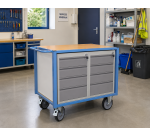 Servante établi équipée 8 tiroirs plateau médium 1060 x 680 mm 500 kg roue TPE