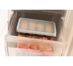 Food Cube Tray - Set of 2 (250 + 500ML)