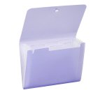 Trieur plastique extensible Propysoft Viquel 6 compartiments - Format A5 paysage