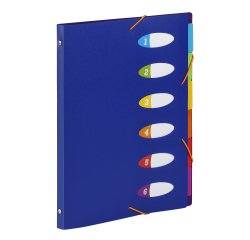 Trieur plastique extensible Business HAPPY FLUO - Viquel  6 compartiments – Format A4