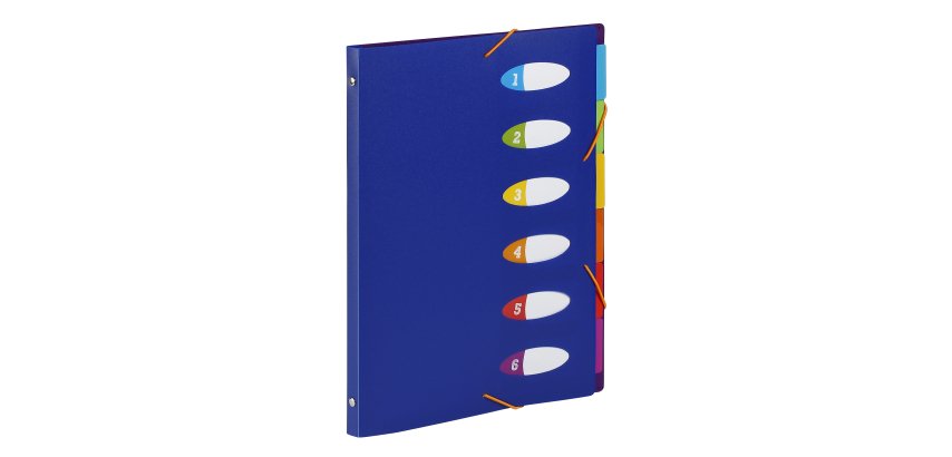 Trieur plastique extensible Business HAPPY FLUO - Viquel  6 compartiments – Format A4