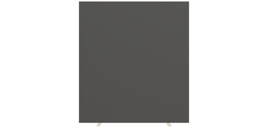 Cloison de séparation Easyscreen H.174 x P.39 cm