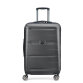 Comete + Trolley Delsey 67 cm 4 ruedas dobles