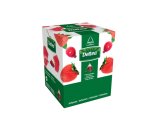 Infusiones Pirámides Frutas del Bosque Deltea - 20 unidades