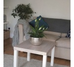 Adhésif - rouleau - 2,1m x 90 cm - motif bois chêne santana kalk