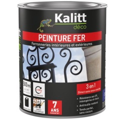 Peinture fer  3 en 1 intérieur et extérieur 0,5 L Brillant - Noir