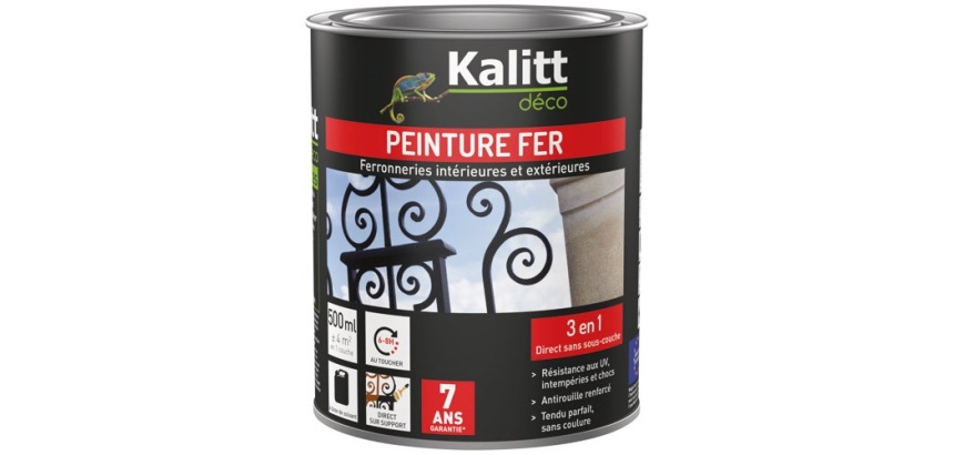 Peinture fer  3 en 1 intérieur et extérieur 0,5 L Brillant - Gris Argent