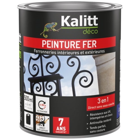 Peinture fer mat - 3 en 1 - intérieur et extérieur - 500 mL - noir