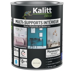 Peinture multi-supports 0,5 L Acrylique Mat - Gris plume
