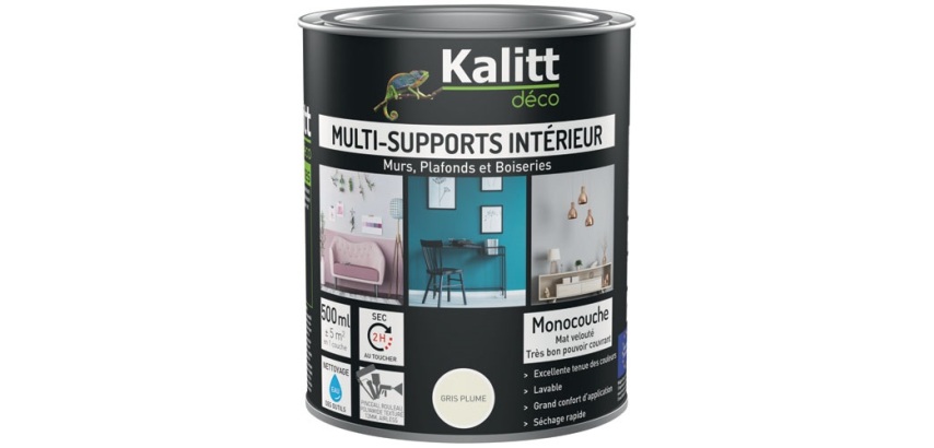 Peinture multi-supports 0,5 L Acrylique Mat - Gris plume