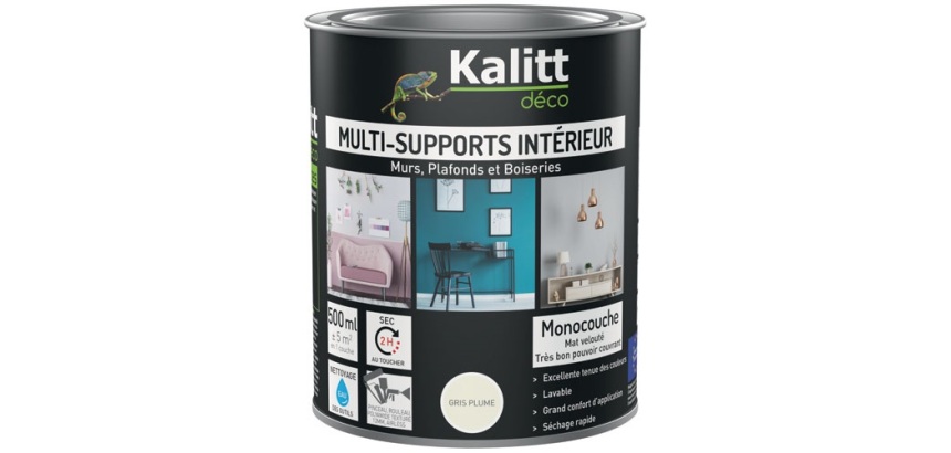 Peinture multi-supports 0,5 L Acrylique Mat - Gris plume