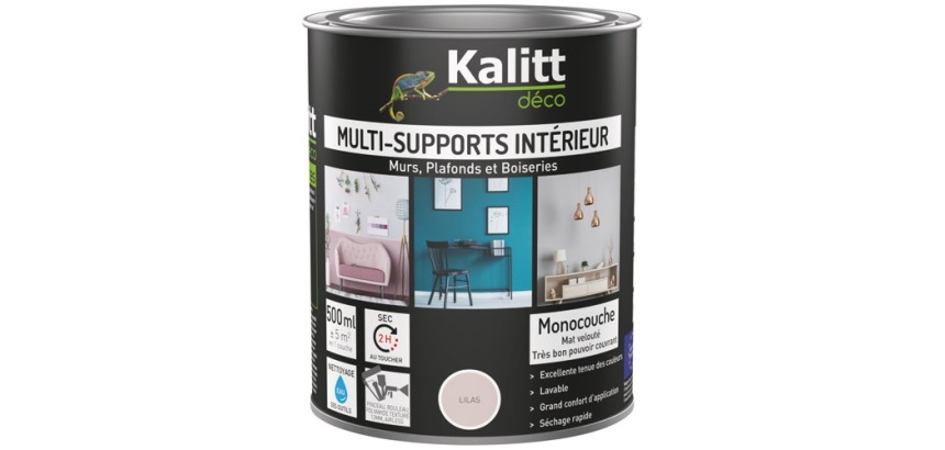 Peinture multi-supports 0,5 L Acrylique Mat - Lilas