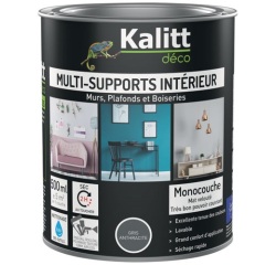 Peinture multi-supports 0,5 L Acrylique Mat - Gris Anthracite