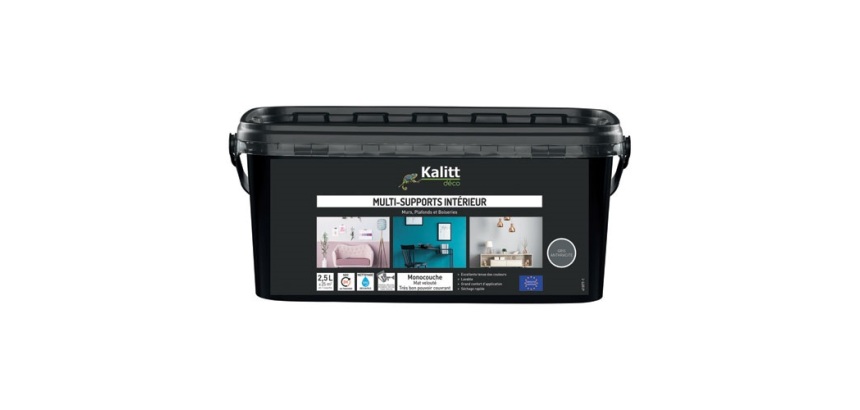 Peinture multi-supports 2,5 L Acrylique Mat - Gris Anthracite