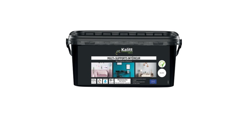 Peinture multi-supports 2,5 L Acrylique Mat - Blanc