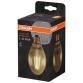 Ampoule Led ovale édition 1906 - claire - filament de 4,5 W équivalent 40 W
