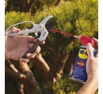 Bombe lubrifiant Multifonction - double spray - 250 mL