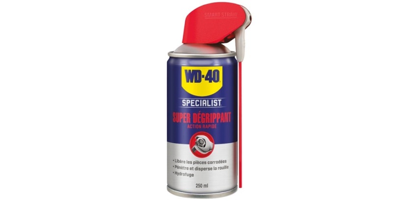 Super dégrippant Action rapide WD40 Specialist - Spray de 250 ml
