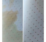 Détachant express - tapis - tissus d'ameublement - S.O.S Spot Remover - spr