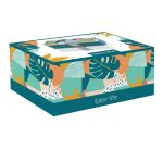 Boîte repas 2 compartiments Vert - Lunch Box