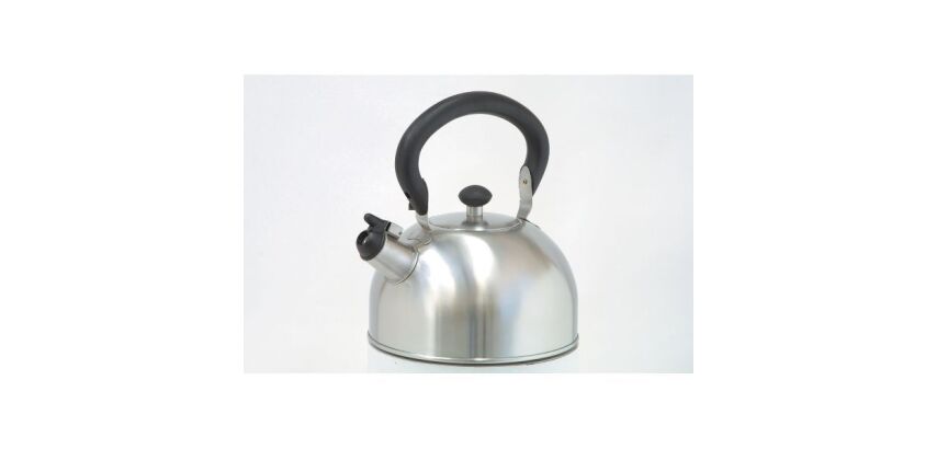 Bouilloire sifflante 2,5 L